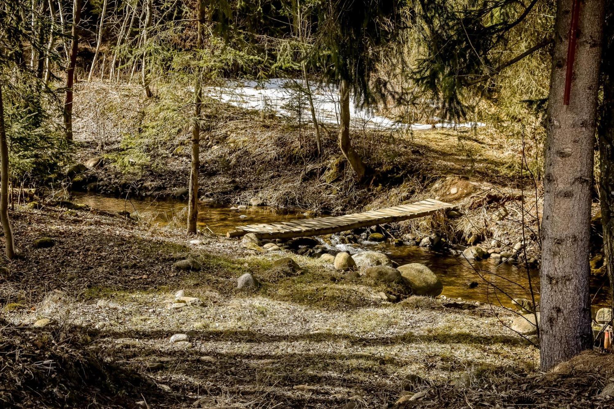 U Pawlikowskich Poronin Exteriér fotografie