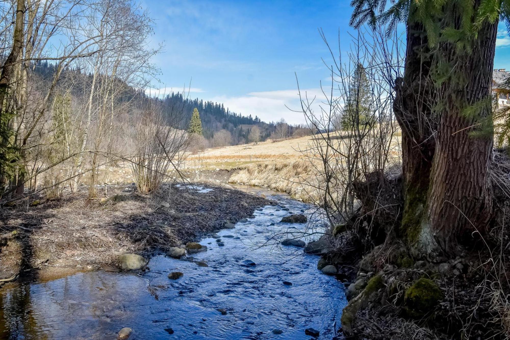 U Pawlikowskich Poronin Exteriér fotografie